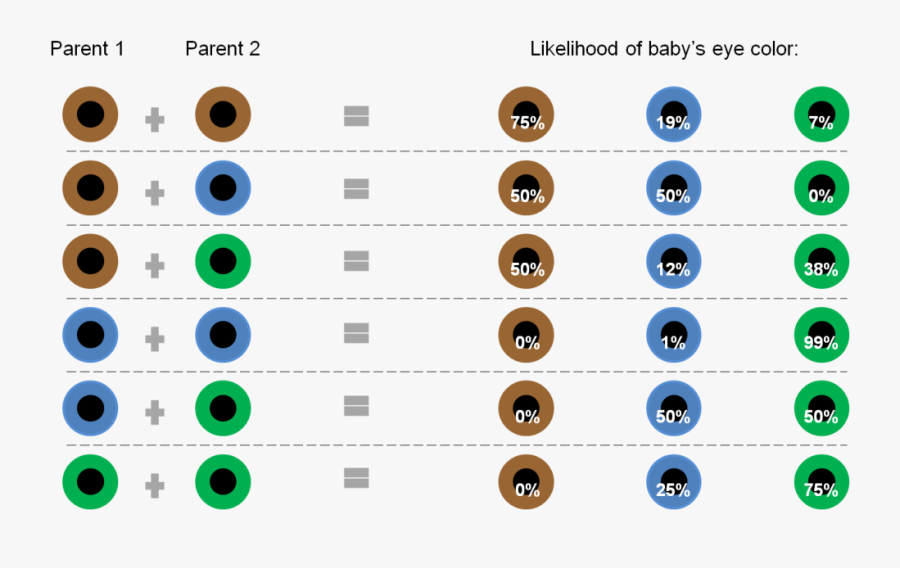 Как узнать какой цвет глаз. Вероятность цвета глаз у ребенка таблица. Генетика цвет глаз наследование таблица. Генетическое наследование цвета глаз. Цвет глаз у ребёнка от родителей таблица.