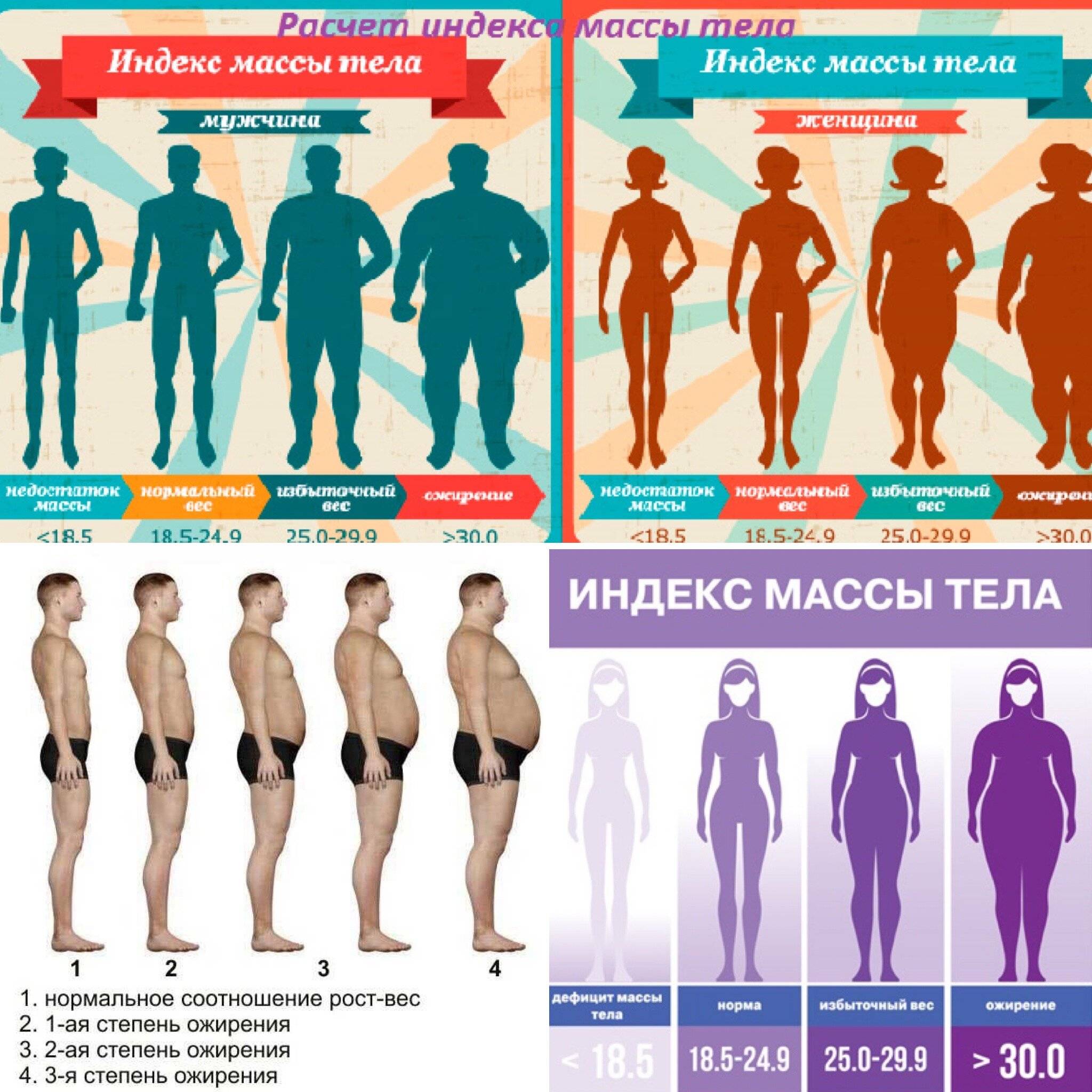 Рост и вес мужчин и женщин