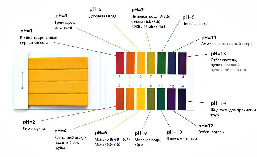 Определение уровня pH организма. 