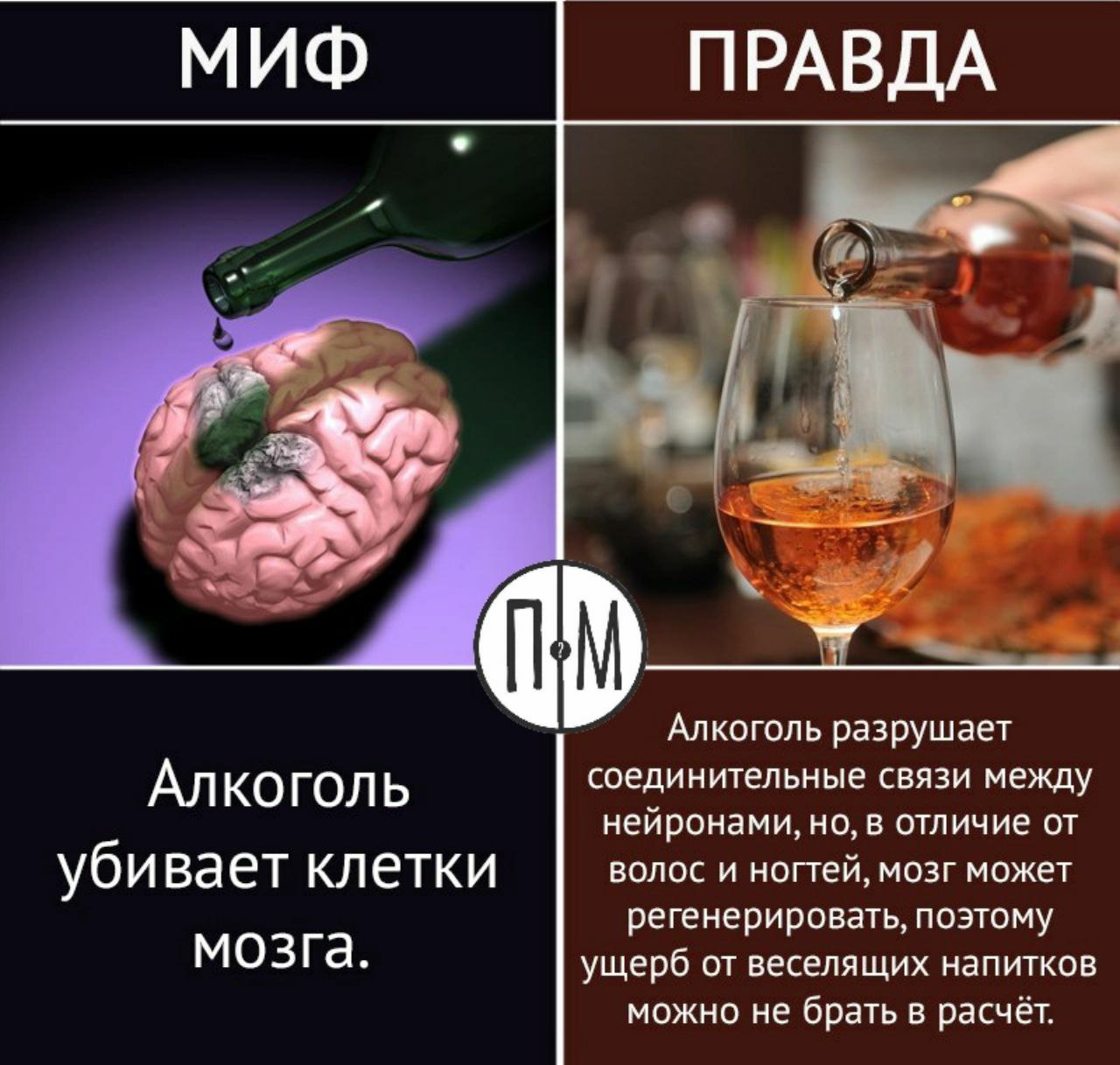 Алкоголь убивает мозговые клетки