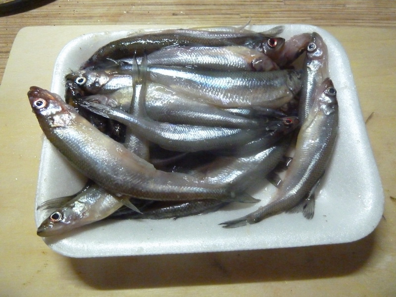 Рыба корюшка - польза и вред для организма мужчины и женщины