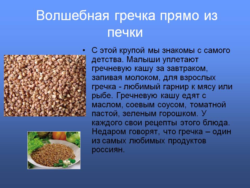 Проект гречневая каша