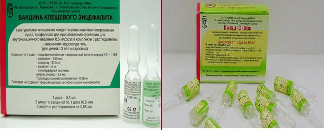 Вакцинация от клещевого энцефалита в сети клиник "ниармедик"