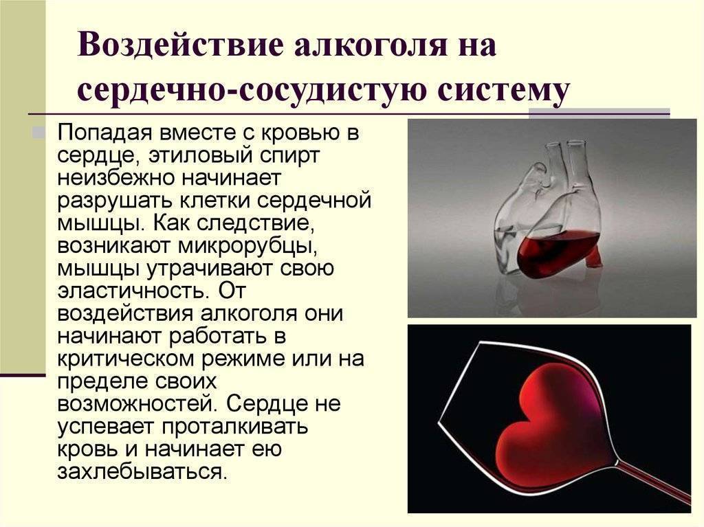 Как правильно пить кровь. Влияние спирта на сердечно сосудистую систему.