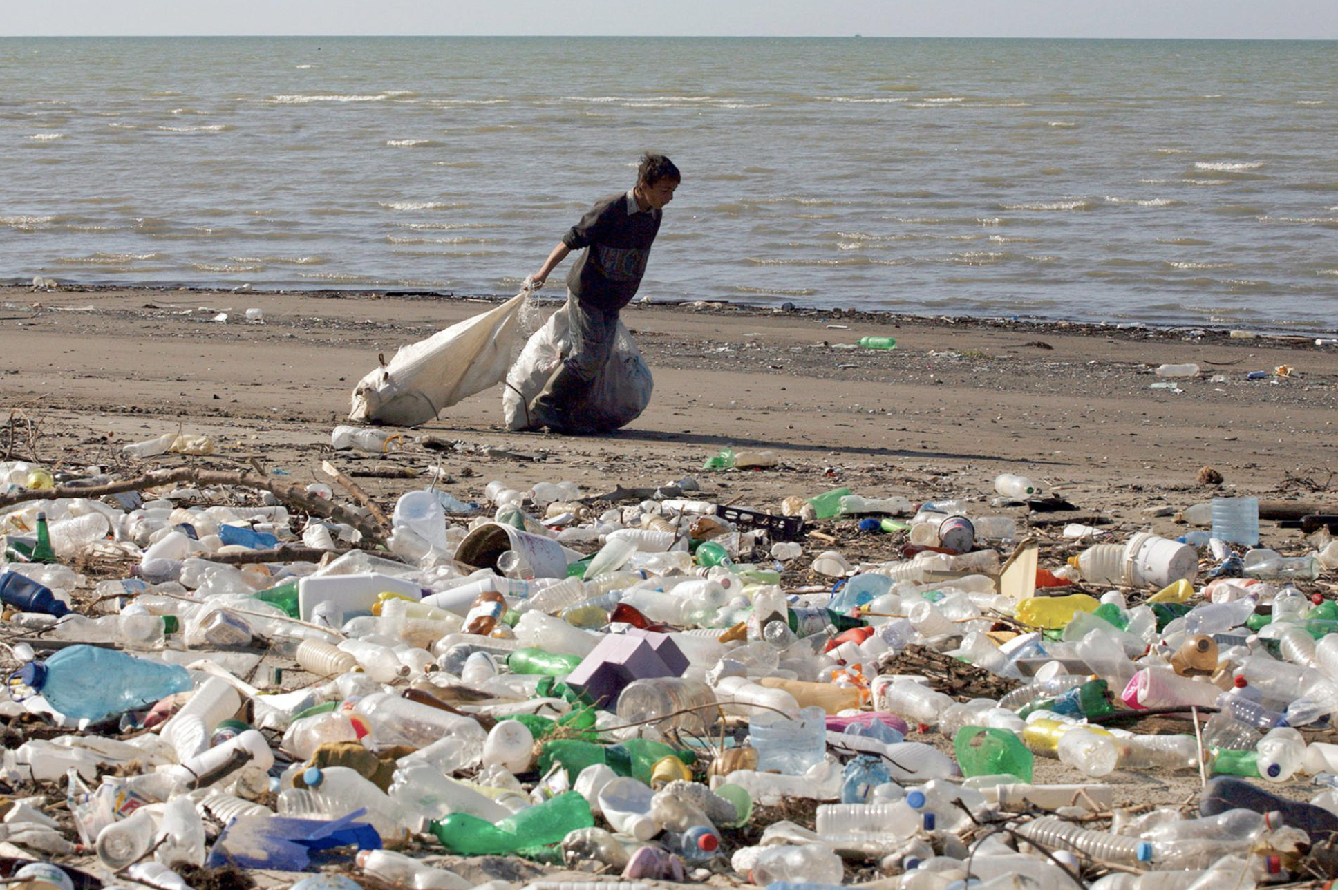 На дне глубочайшей впадины мирового океана обнаружили пластиковый мусор - общество
