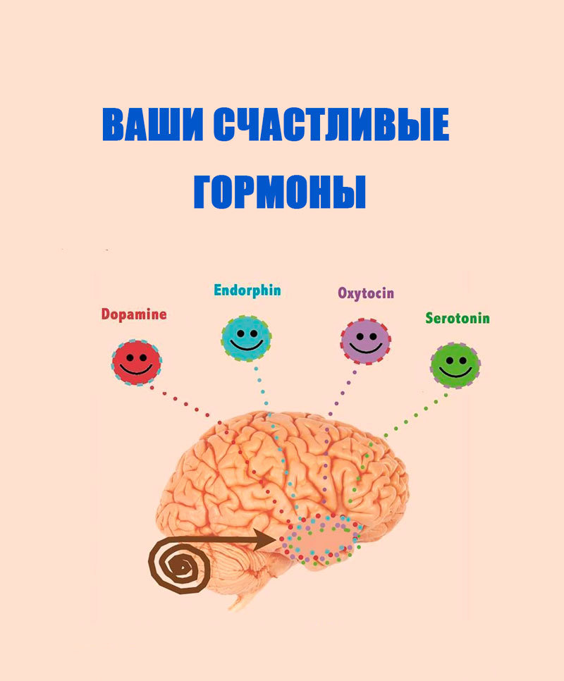 Гормоны счастья. Гормон удовольствия. Мозг и гормоны радости. Гормоны счастья Эндорфин серотонин дофамин окситоцин.