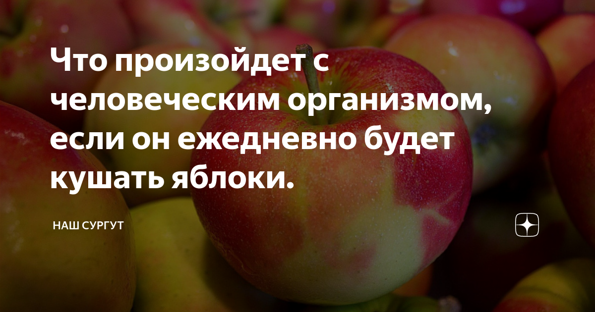 Ем яблоки каждый день. Когда лучше кушать яблоки. Яблоко есть до еды или после еды.
