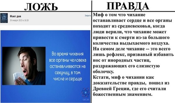 Чихалка по времени. правдивая чихалка для девушек