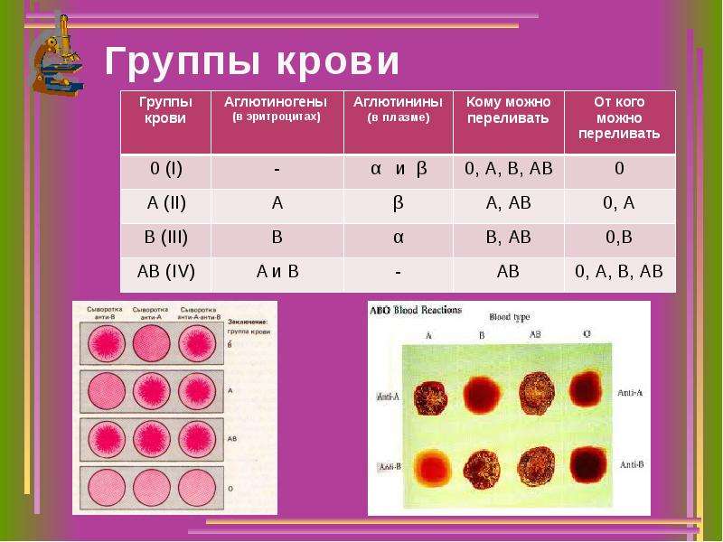 На четыре группы первую группу. Группы крови человека и резус фактор. Кровь 1 отрицательной группы крови. Группы крови и резус-фактор таблица переливания. Таблица переливания крови с резус фактором.