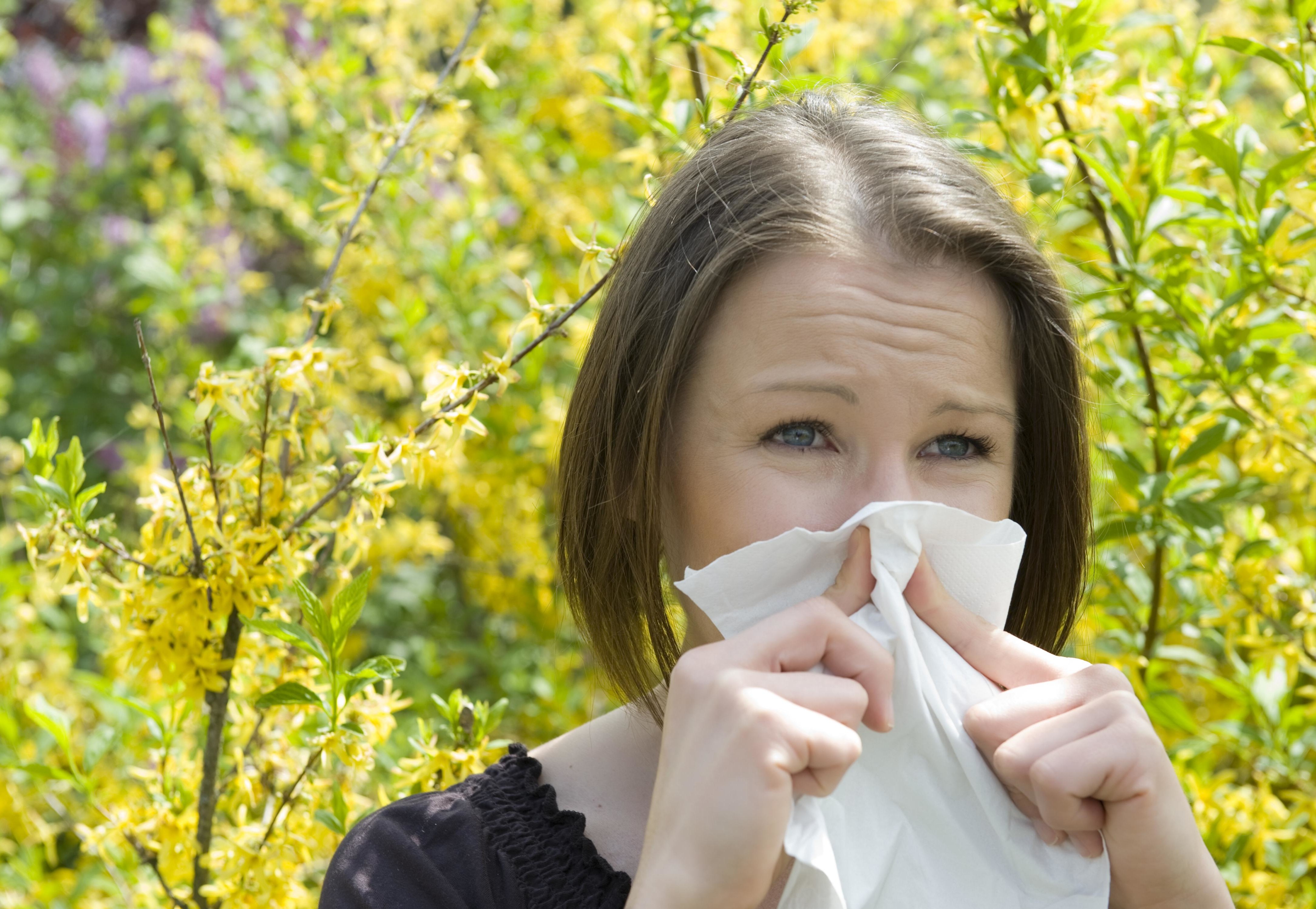 Симптомы аллергии на березу. Сезонная аллергия. Аллергия на пыльцу. Аллергики весной.