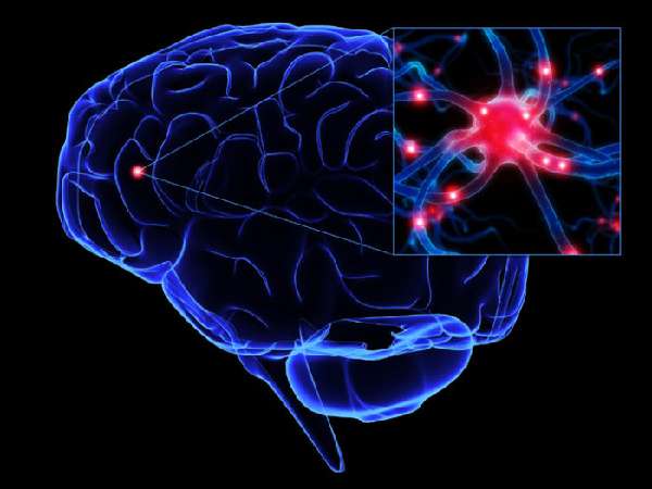 воспаление нейронов мозга