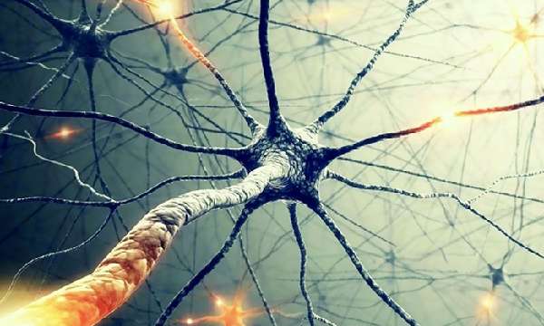 Препарат способствует стимуляции роста нервных клеток