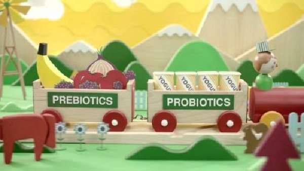 Пробиотики и пребиотики