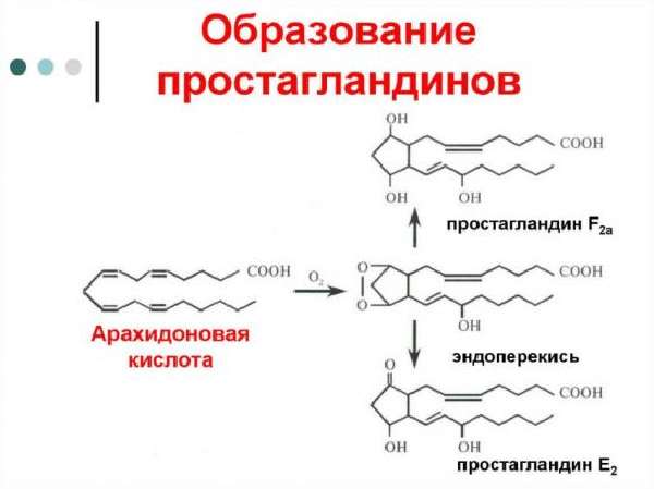 Синтез простагландинов