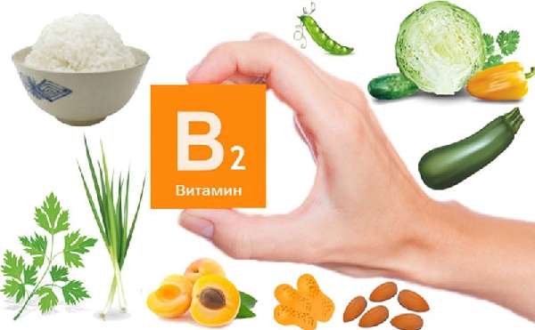 Продукты с содержанием витамина B2