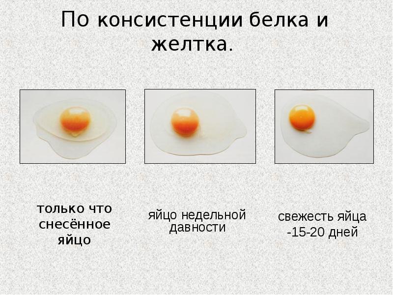 Оценка качества яиц. Способы приготовления блюд из яиц. Презентация на тему блюда из яиц. Сообщение блюда из яиц. Технология приготовления блюд из яиц.