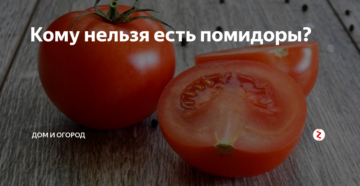 При язве можно помидоры. Кому нельзя есть помидоры. Помидоры кому нельзя кушать. Кому нельзя употреблять помидоры. Томаты при гастрите.