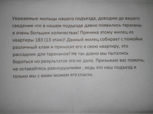Крысы атакуют исторический центр петербурга: что делать? новости - с.петербург. metro