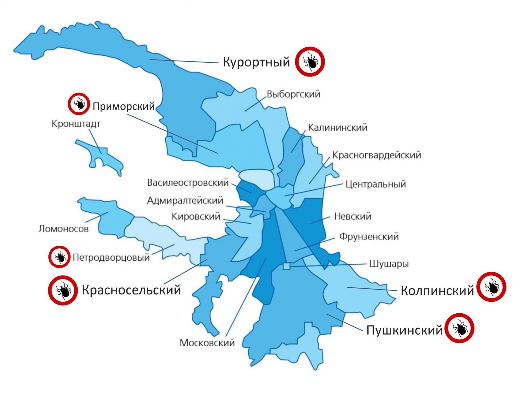 Зеленые районы спб. Районы Санкт-Петербурга. Районы Питера на карте. Карта Санкт-Петербурга по районам. Районы Санкт-Петербурга на карте с границами.