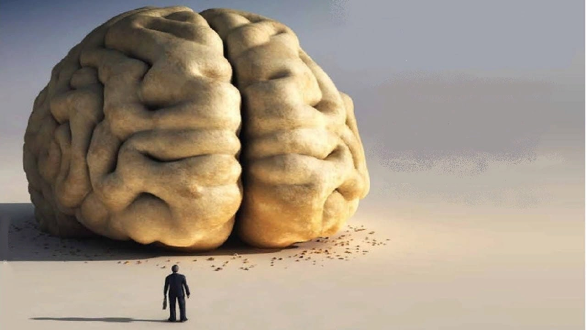 Поставь разума. Размер мозга и интеллект. Мозг и природа.