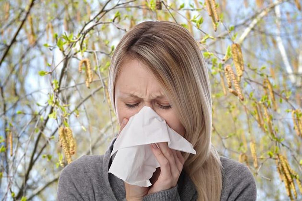 Аллергия на пыльцу. кто виновен?