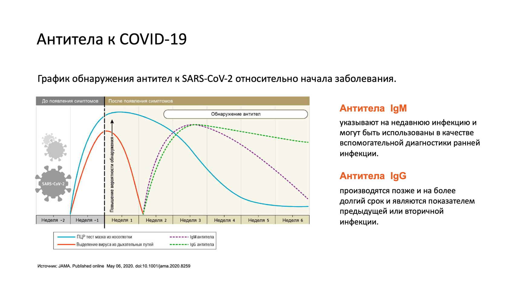 Антитела сколько времени делается анализ. IGM IGG IGM коронавирус. Антитела ковид IGG. Тест на наличие антител к Covid-19. Количество антител в крови.
