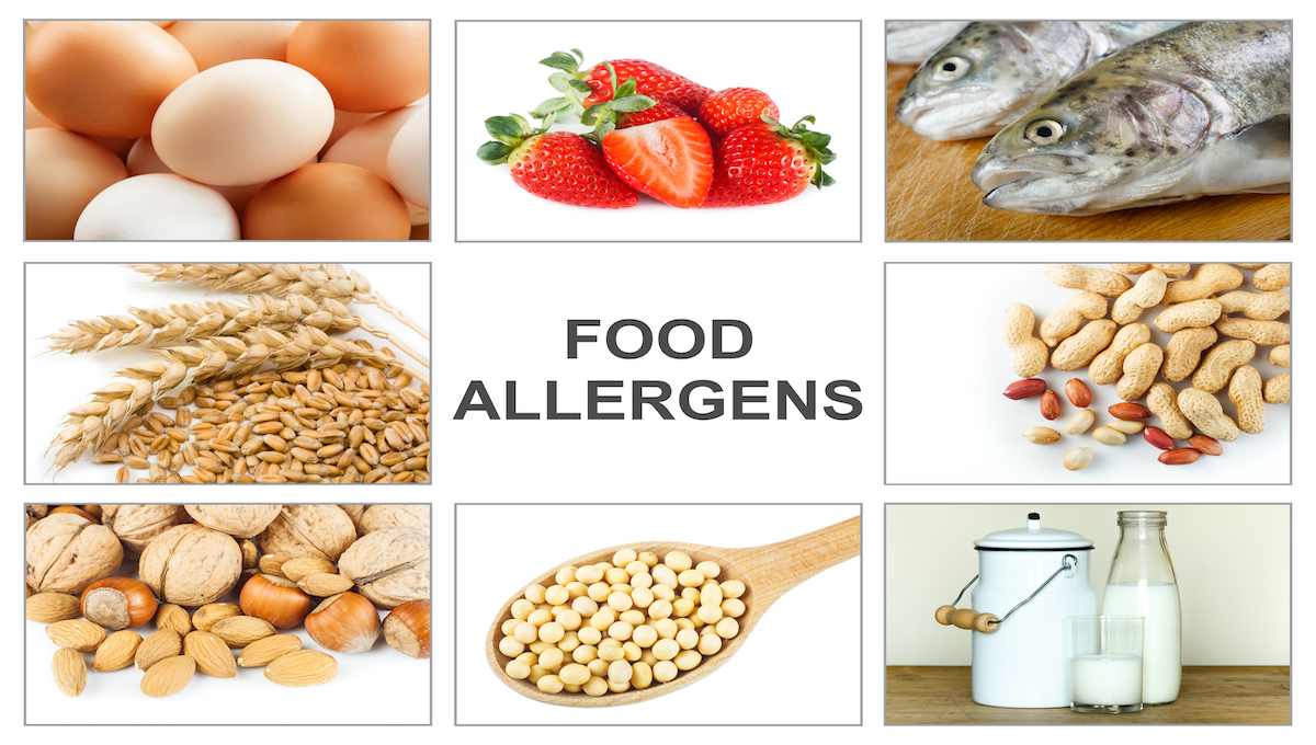 Аллергия на прикорм