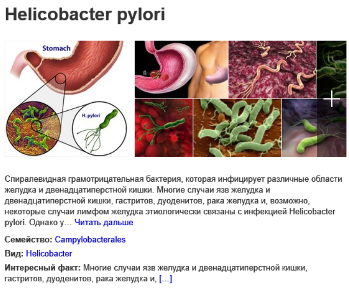 Que alimentos producen la bacteria helicobacter pylori