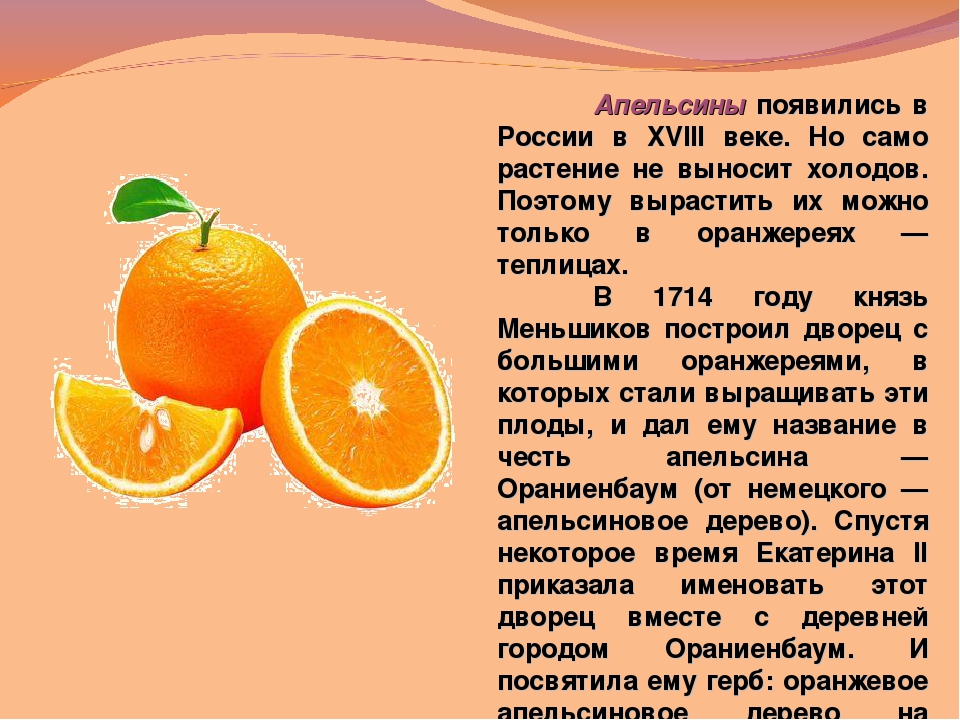 Апельсин сколько есть. Сообщение о апельсине. Описание апельсина. Рассказ про апельсин. Апельсин доклад.