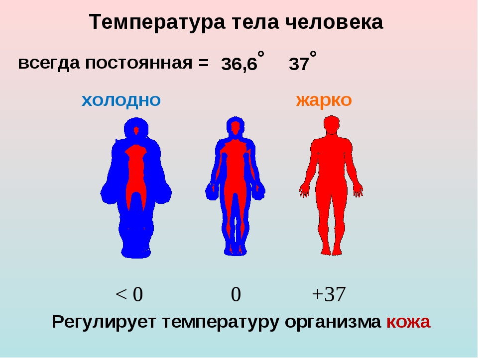 Изменение температуры больного. Температура тела. Температура человека. Температура в теле человека. Температурач келовека.