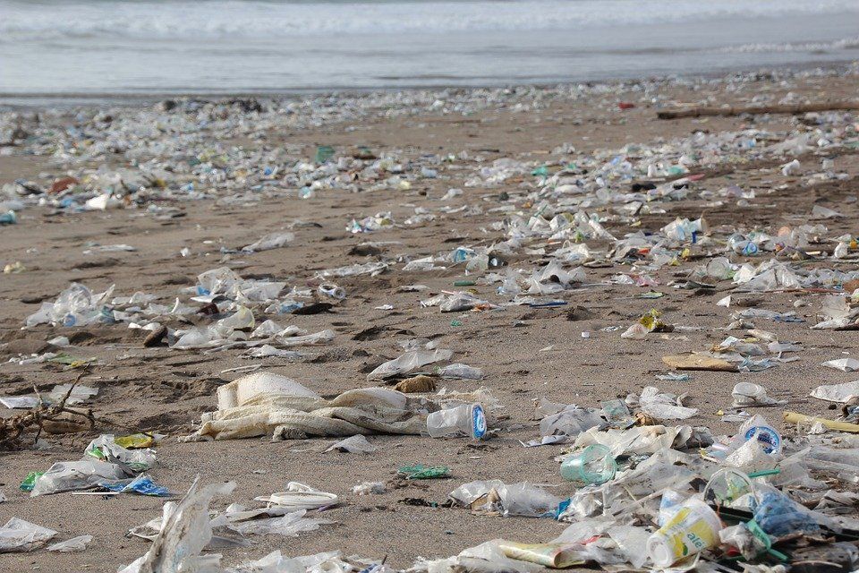 Загрязнение мирового океана пластиковыми отходами | статья в журнале «молодой ученый»
