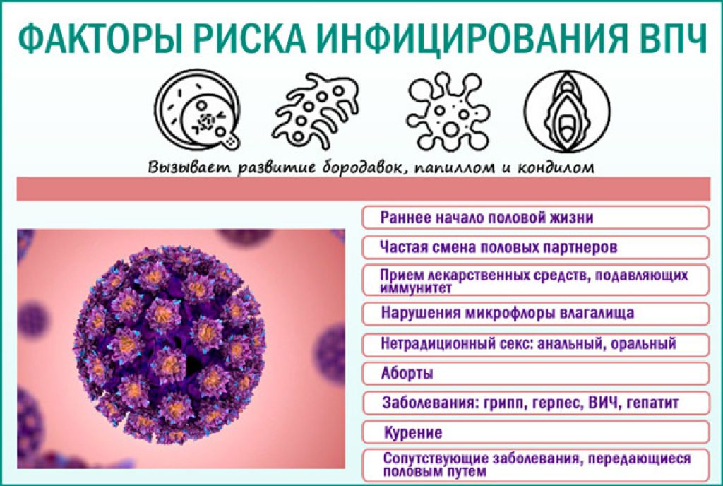 Папиломы вирус передается от человека к человеку. Вирус папилломы пути передачи. Факторы риска инфицирования ВПЧ. Папилломавирусная инфекция факторы передачи. ВПЧ пути заражения у женщин.