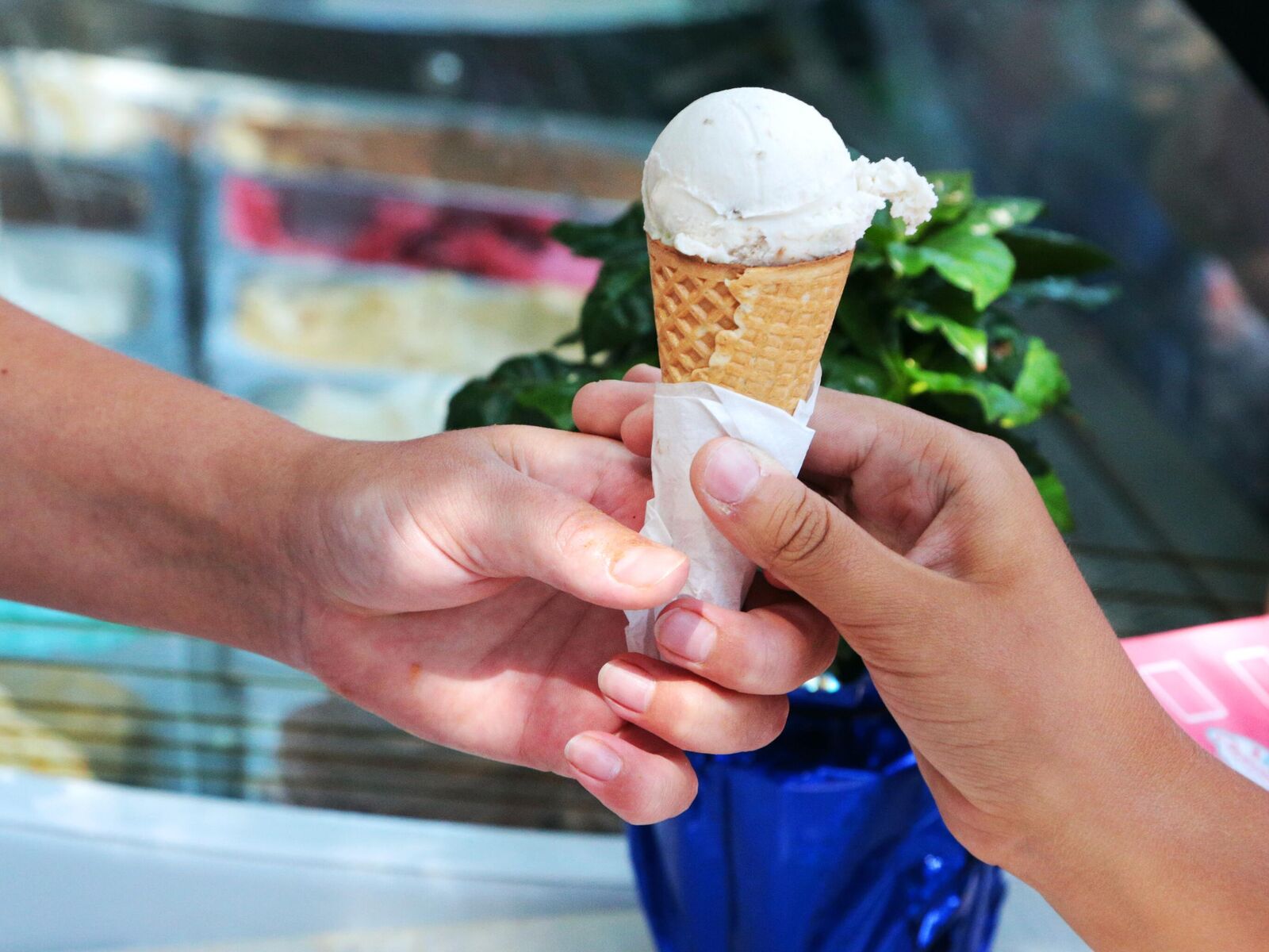 Смотреть на глазурь: в роскачестве рассказали, как выбрать лучшее мороженое — иа «версия-саратов»
