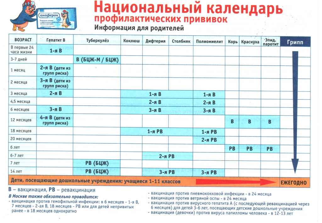 От каких болезней делают прививки. Национальный календарь прививок РФ. График вакцинации детей в России. Таблица профилактических прививок у детей. График прививок для детей до года 2022.