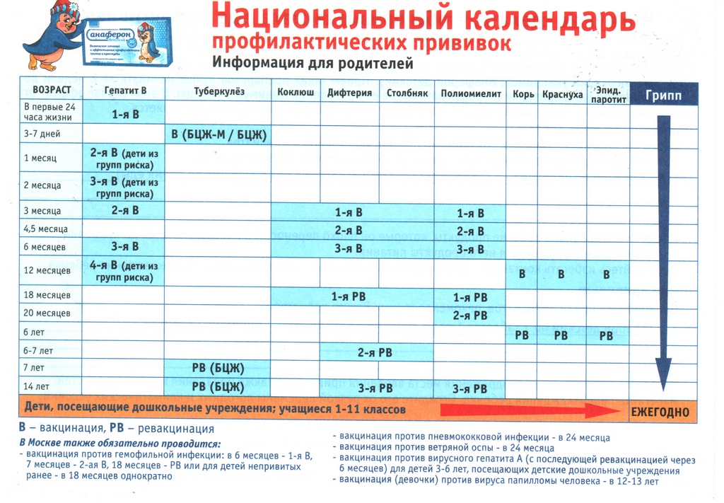 Вакцина детям календарь