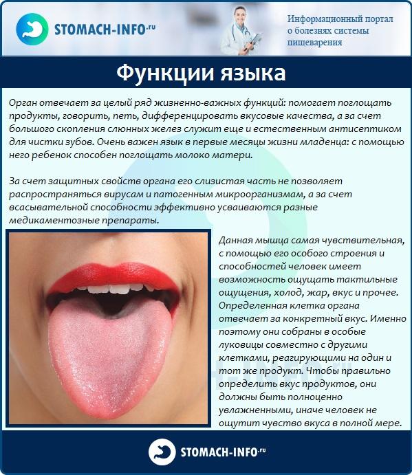 Рак языка — симптомы, стадии, диагностика