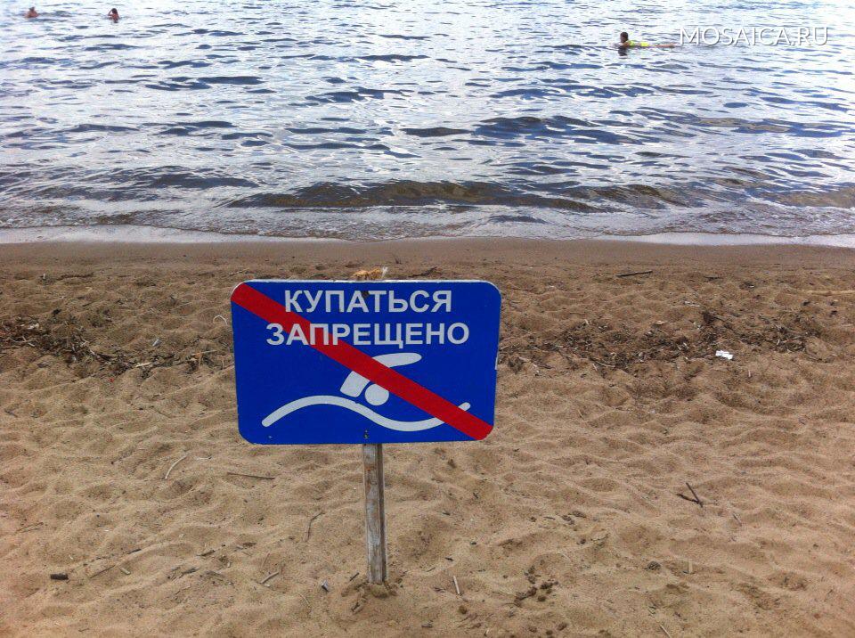 О пляжах санкт-петербурга где можно купаться: пляжи финского залива и петергофа