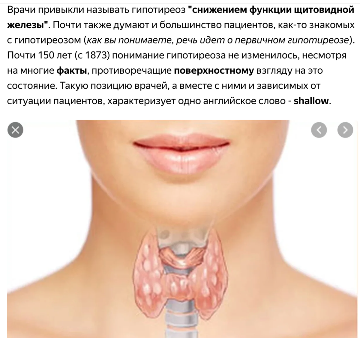 Щитовидной железы спб. Болезни щитовидной железы памятка. Шея. Здоровая щитовидная железа у женщин. Ковид и щитовидная железа.