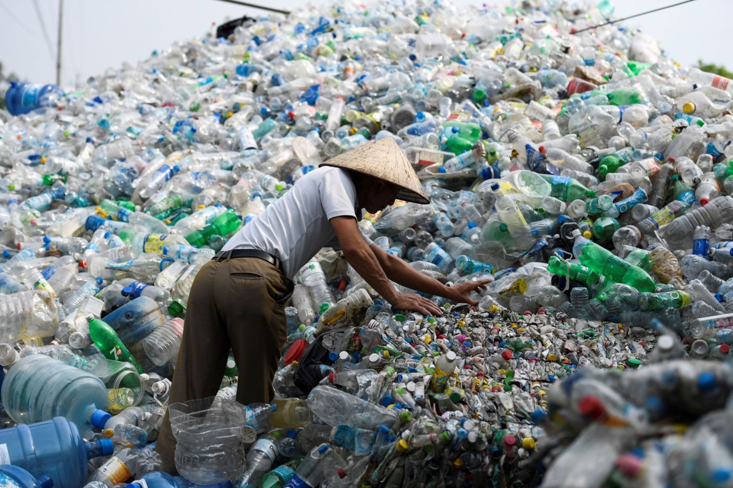 Пластиковый мусор в океане: причины загрязнения, вред для океанической фауны и для человечества