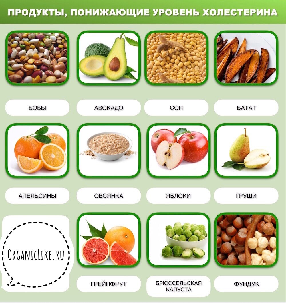 Холестерин снижающие продукты | aptekins.ru