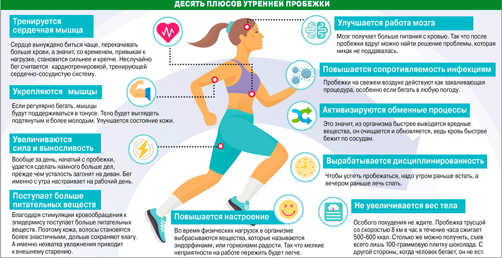 Здоровье: что важнее питание или спорт? – lifekorea.ru