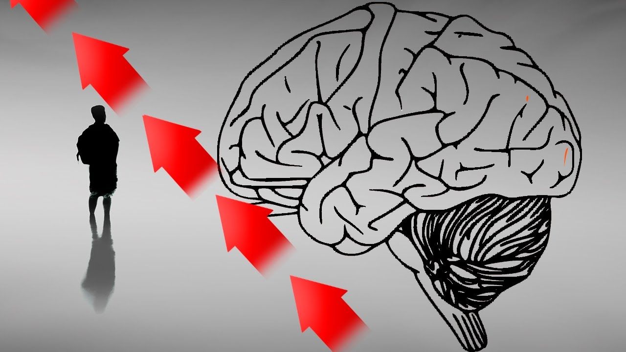 Как заставить свой мозг работать быстрее?