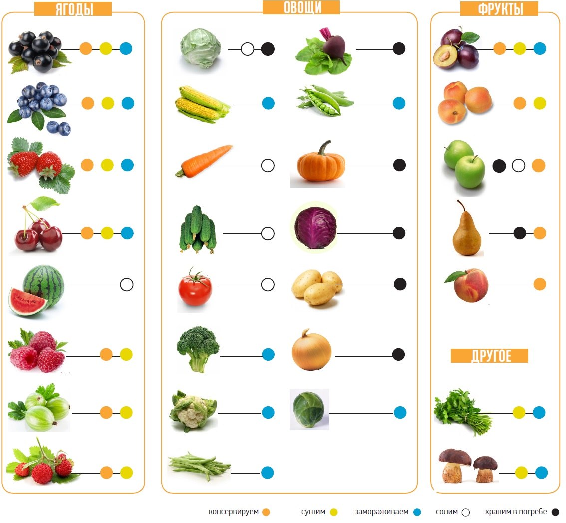 Какие овощи являются ягодами. Виды овощей. Овощи, фрукты, ягоды. Фрукты для детей. Овощи и фрукты для детей.