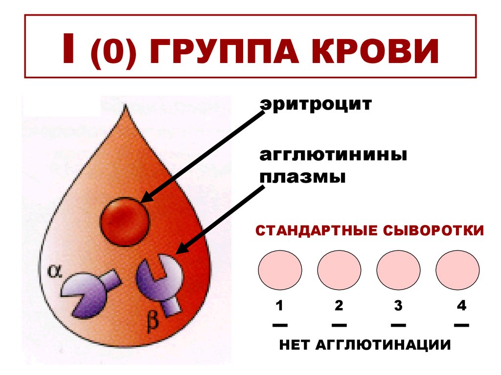 П группа крови. Группа крови 0 1. Группа крови 1 нулевая положительная. Крор группы. Первое положительное группа крови.