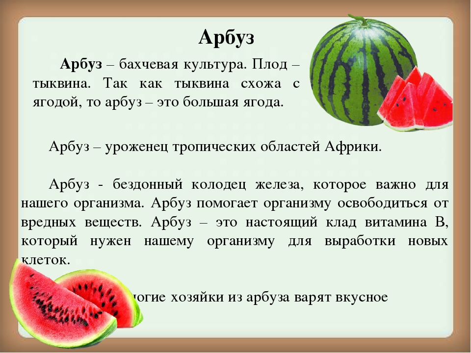 Высота арбуза. Арбуз это ягода или Тыквина. Арбуз плод Тыквина. Арбуз это ягода или фрукт или овощ. Плод арбуза это Тыквина или ягода.