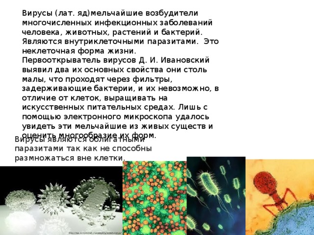 Бактерии вирусы грибы биология. Бактерии и вирусы заболевания. Возбудители заболеваний. Вирусы и бактериальные заболевания. Бактерии и вирусы вызывающие болезни человека.