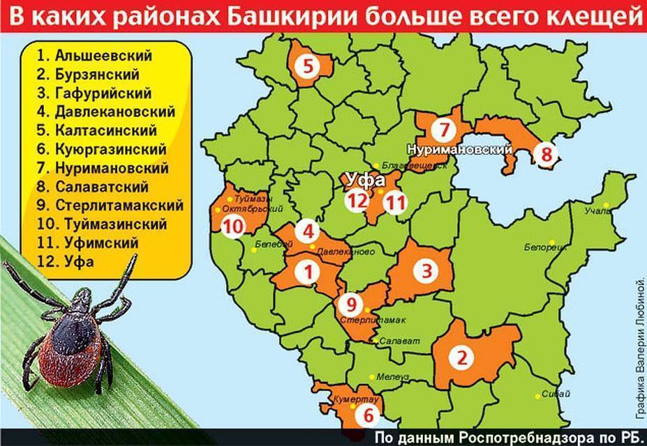 Где водятся энцефалитные клещи. Ареал энцефалитного клеща в Московской области. Клещевой энцефалит эндемичные районы. Карта клещевого энцефалита. Зона энцефалитных клещей в Подмосковье.