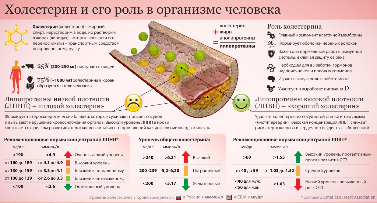 Нормальный уровень холестерина в организме