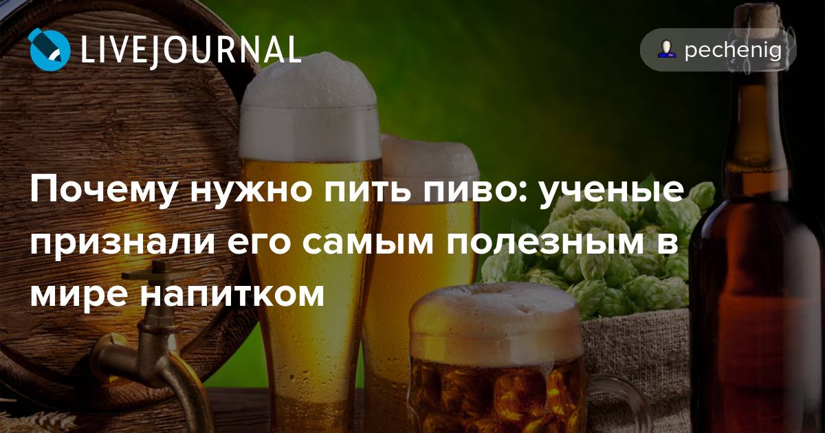 Пью пиво каждый вечер. Пиво полезно. Пиво каждый день. Пиво полезное для здоровья.