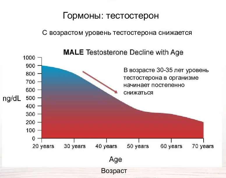 Гормоны в организме мужчины. Тестостерон график от возраста. График выработки тестостерона у мужчин. Зависимость тестостерона от возраста. Снижение уровня тестостерона.